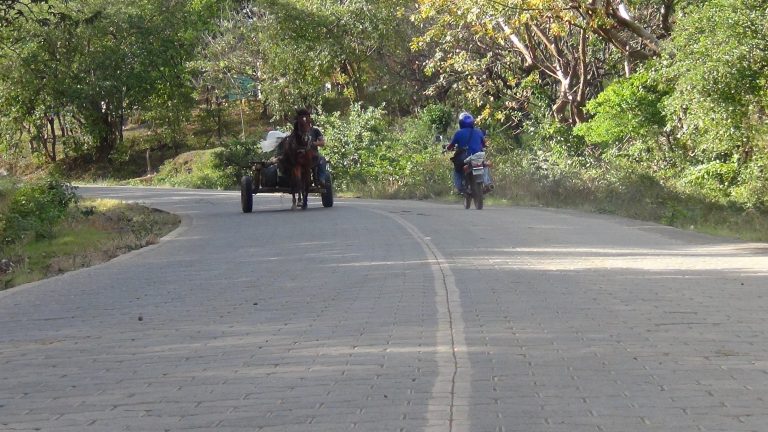 Familias de la Comarca Las Flores inauguran adoquinado