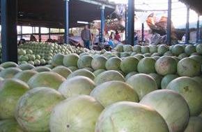 Sandias dulcitas y rojitas inundan mercados capitalinos