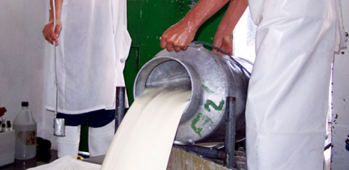 Producción de leche creció en 2013