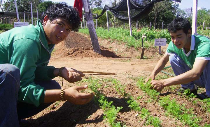 Curso técnico rural iniciará este 15 de marzo en Jinotega