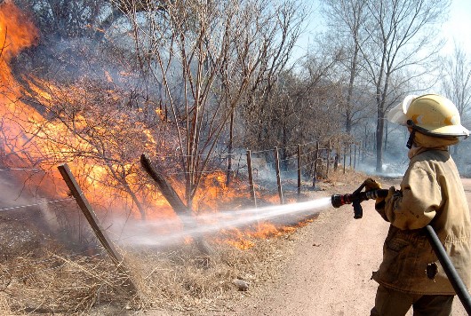 Nicaragua ha perdido 200 mil hectáreas por incendios forestales en últimos siete años