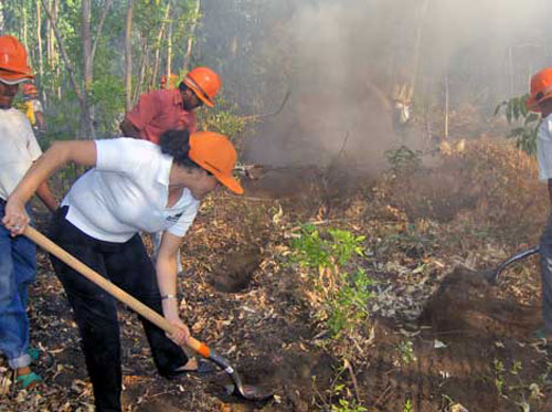 Municipalidades conforman brigadas contra incendios forestales