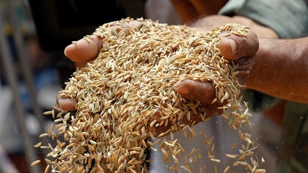 ¿Cómo alimentar a 7.000 millones de personas sin destruir el planeta?