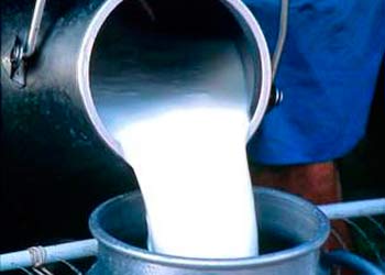 Nicaragua: tiende al alza la producción de leche