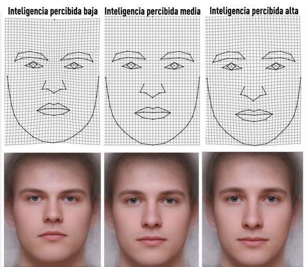 Científicos: El rostro revela el nivel de inteligencia de una persona