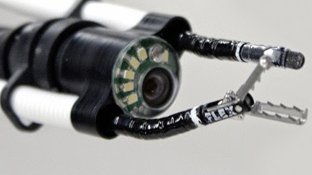 Los robots ‘se cuelan’ en el cuerpo: Una serpiente, nueva arma para los cirujanos