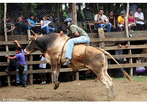 Mejores montadores se lucirán en barrera de toros en Tipitapa