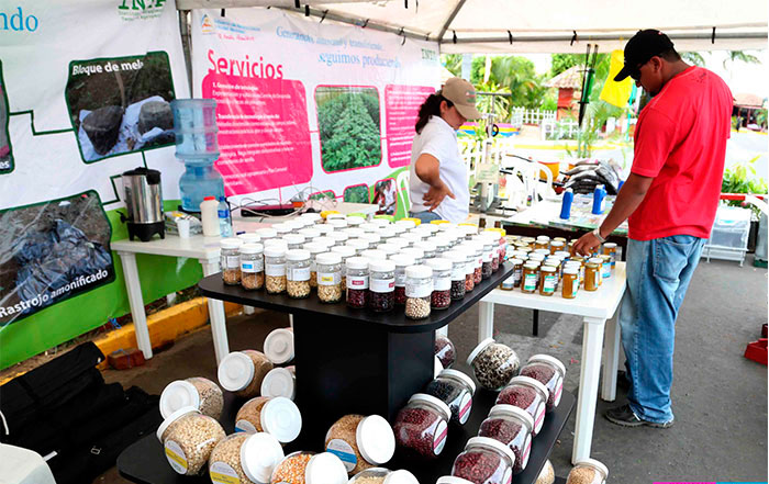 Estudiantes promueven prácticas saludables para el cultivo de alimentos