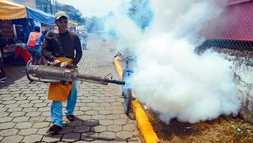 Casi 700 mil viviendas han sido fumigadas para evitar el dengue