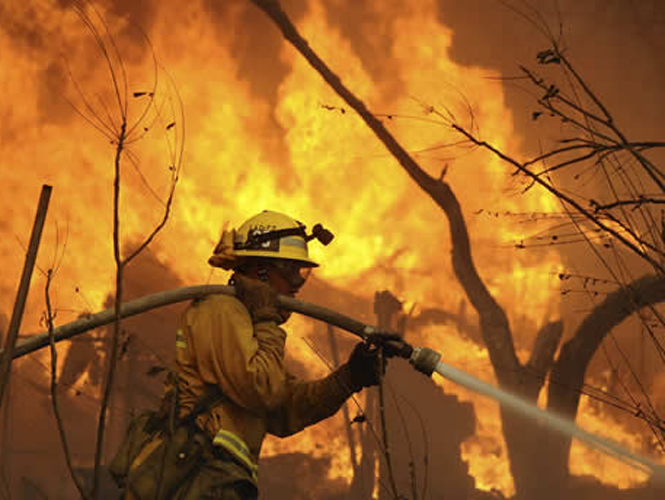 Incrementan incendios forestales pero disminuyeron los daños en primeros cinco meses del año