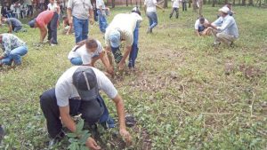 639x360_1376880138_Plantando un árbol