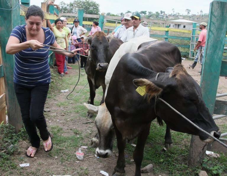 Gobierno entregará más Bonos Productivos Alimentarios en Masaya