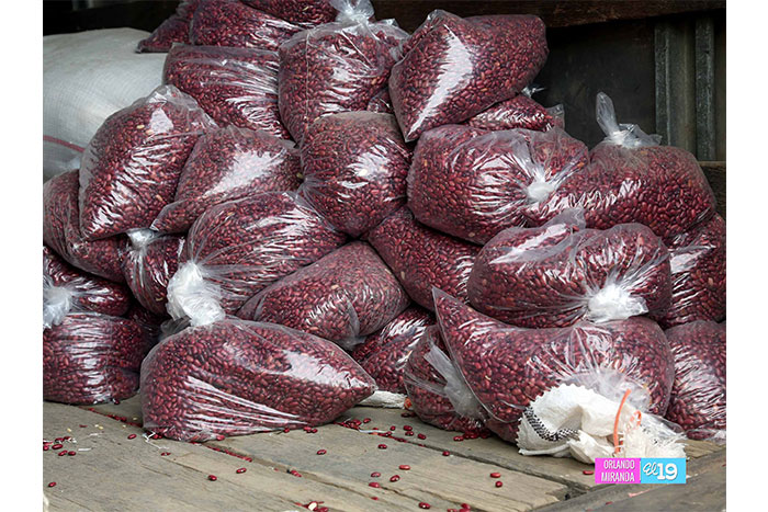 Cientos de familias se abastecieron de frijoles solidarios en las Américas Uno