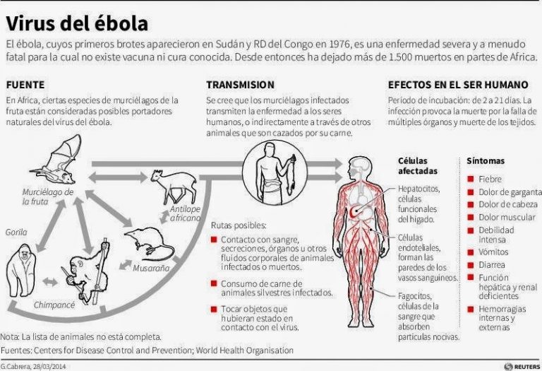 MINSA se prepara para atender el riesgo del virus del ébola