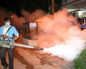 fumigacion dengue chikungunya