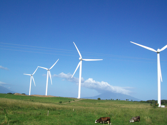 Entregan 80 millones de dólares a Blue Power para generar energía eólica