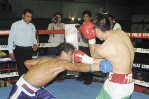 boxeo