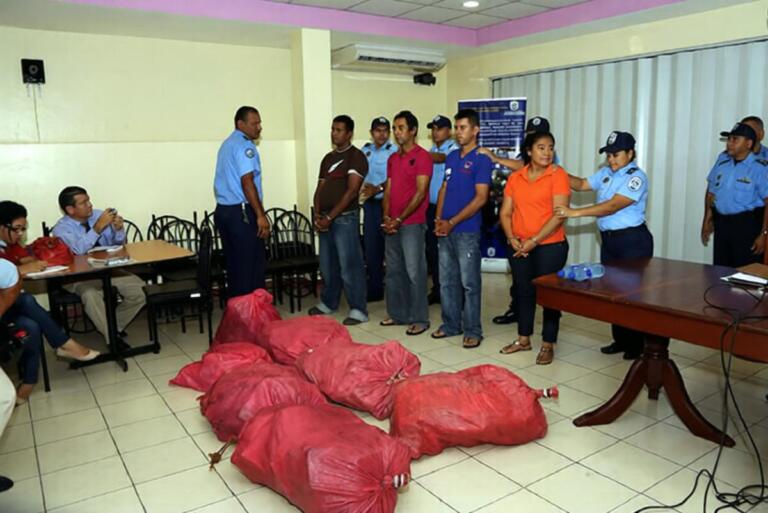 Operación Castor permite incautar 215 kilos de cocaína, detener 6 personas y ocupar 16 propiedades