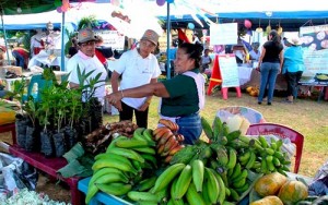 feria-nacional-de-seguridad-alimentaria-y-nutricional