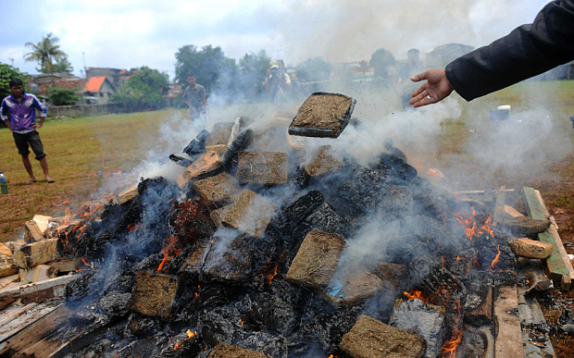 Consecuencias inesperadas de quema de marihuana en Jakarta