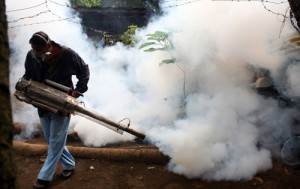 fumigacion-contra-el-dengue