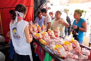 venta-de-pollo-barato-en-nicaragua