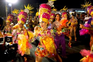 carnaval_alegria_por-lavida