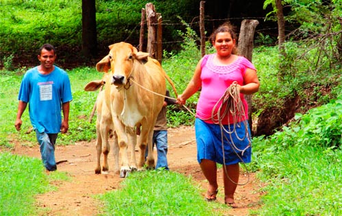 Bono Productivo en Nicaragua