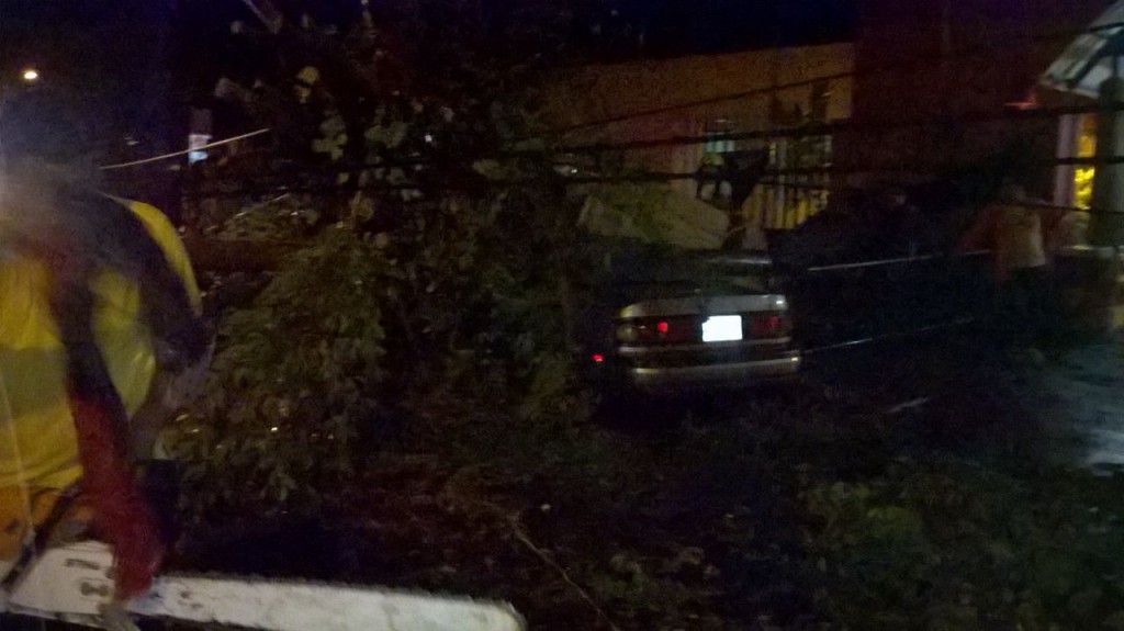 Entrada a la emergencia del hospital Solidaridad, cayo un árbol dañando un vehículo