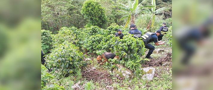 Gobierno gestiona envío de expertos para verificar investigaciones sobre familia nicaragüense asesinada en Costa Rica