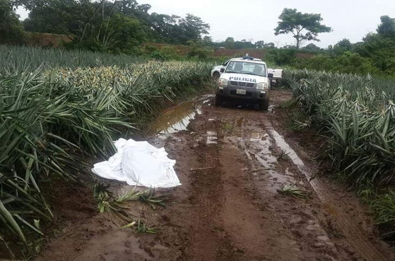 cuerpo-tierra-trabajador-deshijaba-plantacion_LNCIMA20150630_0178_5 (1)