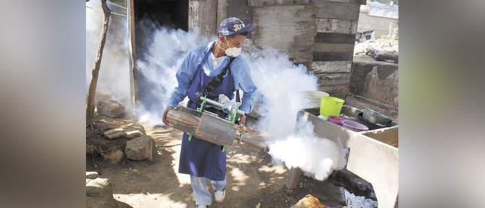 desminuyen casos de dengue en nic