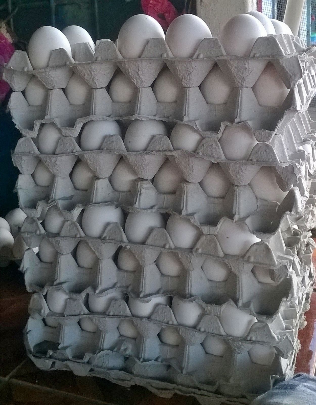Roban 20 mil córdobas a vendedores de huevos en Ticuantepe - La Nueva Radio YA