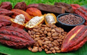 cacao