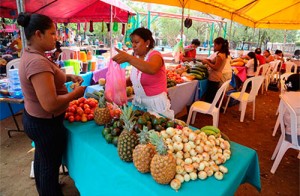 feria-de-la-economia-familiar