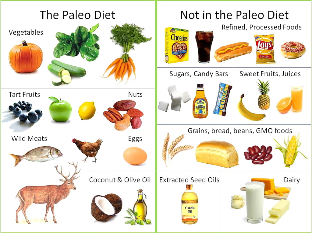 Dieta paleo: alimentos permitidos y prohibidos