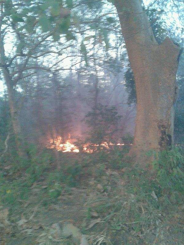 Incendio forestal arrasa con 80 manzanas en carretera León-Managua