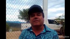 El Chapo podría declararse culpable