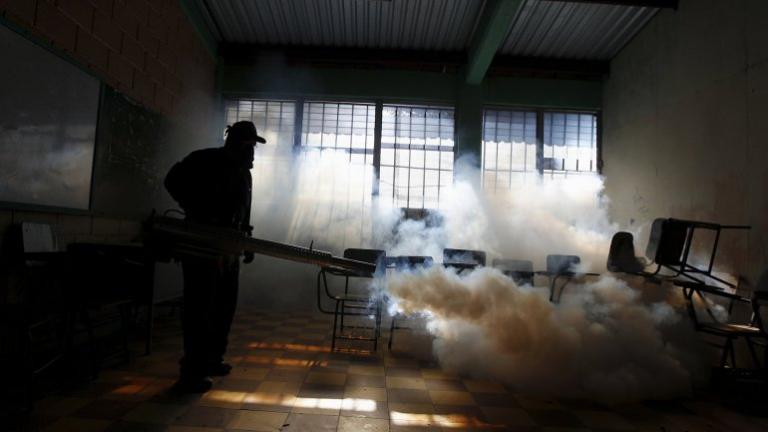 La OMS admite que la primera vacuna contra el zika recién estará lista en 2019