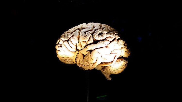 Revelan que causa el Alzheimer