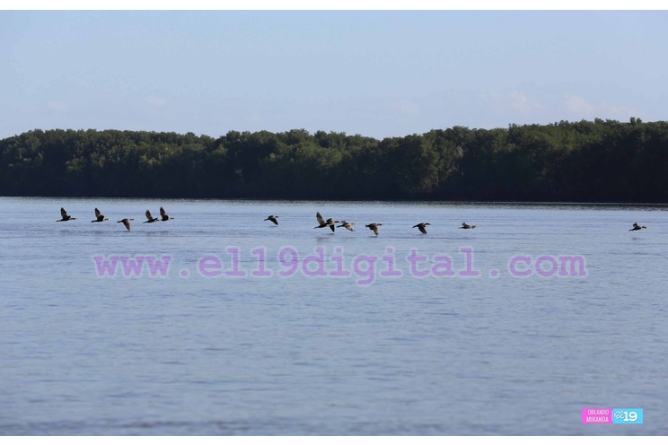 estero