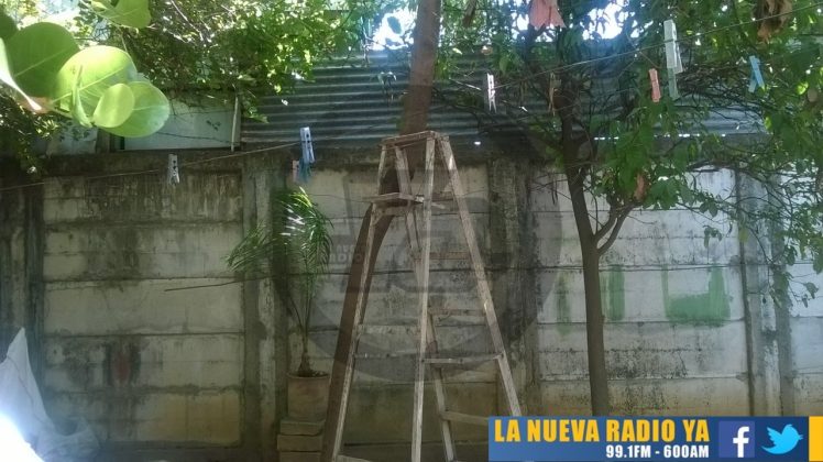 Anciano muere tras caer de un árbol de aguacate que derramaba en la capital