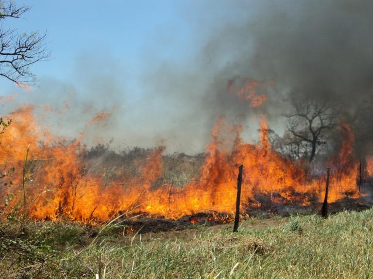 INAFOR lanza Plan Nacional de Prevención y Control de Incendios