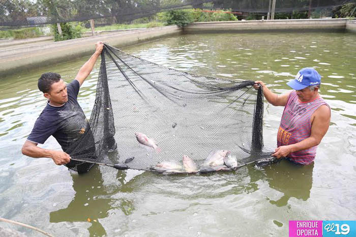 INPESCA se prepara para realizar censo nacional de pesca y agricultura