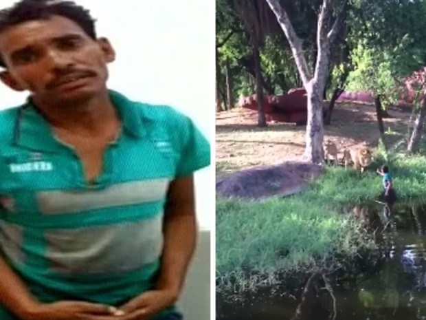 India: Un bolo se metió a la jaula de los leones para saludarlos