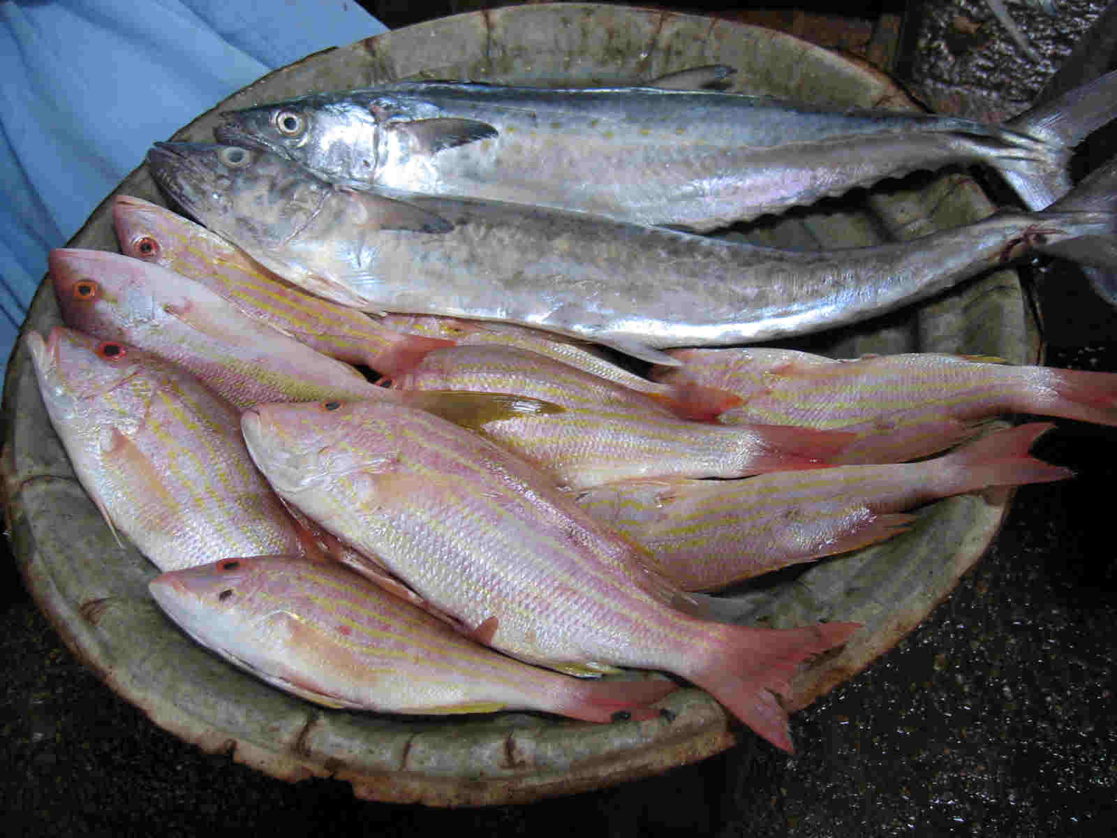 Venta de pescado