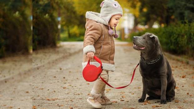 niño y perro