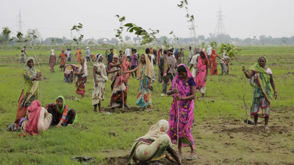 Indian women plant saplings on the outskirts of Allahabad, India, Monday, July 11, 2016. Hundreds of thousands of people in India's most populous state Uttar Pradesh are jostling for space as they attempt to plant 50 million trees over the next 24 hours in hopes of setting a world record. (AP Photo/Rajesh Kumar Singh)