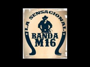 banda m-16