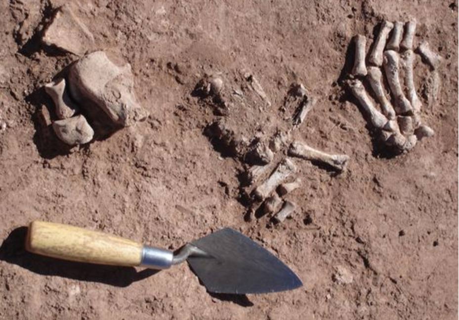 defleshed-human-bones-bolivia